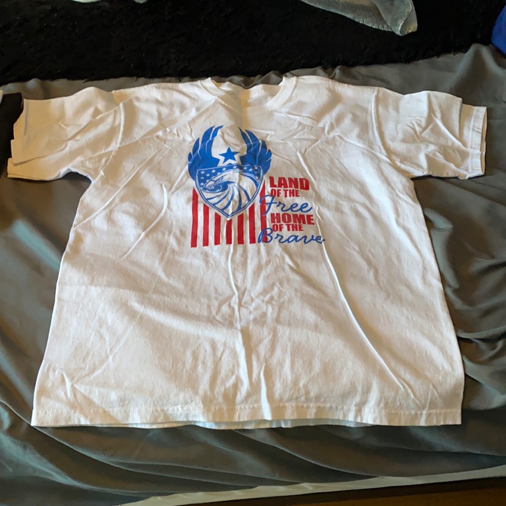Land of the Free, Home of the Brave Mens T-Shirt